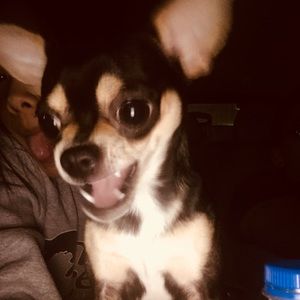 Meet your Posher, Lisa